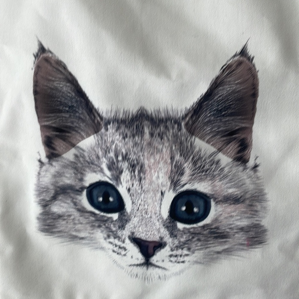 Kitten or cat lover canvas tote bag NWT